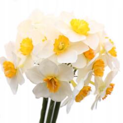 Griny Nárcisz 32 cm Élő Nárciszok Mesterséges Virágok Nárcisz csokor 6 db (GNA10326WH)