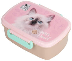 DERFORM Cleo és Frank cicás műanyag uzsonnás doboz - rózsaszín (SACF45) (SACF45)