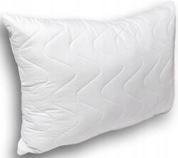 Textom Párna 40X60 Antiallergén Rovátka Szabályozható Puha Cipzáras (Poduszka 40x60 nuvola)