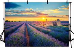 CE Fotós háttér anyag banner Levendula rét motívum 2, 1 x 1, 5 m (X00204WURN)