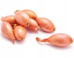  Hagyma Mogyoróhagyma Friss 1KG Aromás Finom (Cebula szalotka Daw-Ex)
