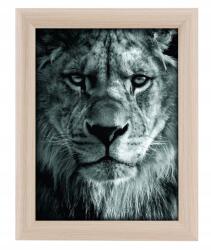 Goldbuch Toscana Nature Mdf keret 15x20 barna (B084C8P6ZX)
