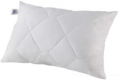 Senna Home Perna Senna Home 50x70cm, 550g, fehér (SDSDPSC50x70B550g)