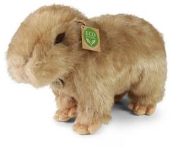 Rappa Capybara de pluș 30 cm ECO-FRIENDLY (RP230743)