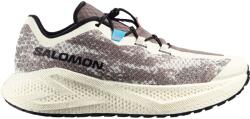 Salomon Aero Glide 4 GRVL Vanilla Ice/Black/Iron Férfi futócipő UK 9, 5 Férfi futócipő