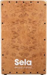  Sela Iconic Cajon Oak Roots cajon