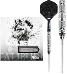 Caliburn Dart szett steel Caliburn Wolfpack steel W5, 22g, 90%