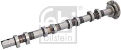 Febi Bilstein Vačkový hriadeľ FEBI BILSTEIN 1002220 (1002220)