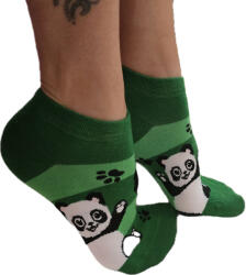 Pataki zokni PATAKI panda mintás titokzokni 35-38 69291