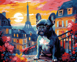 Alkotásutca Franci a bulldog - Számfestő készlet kereten 40x50
