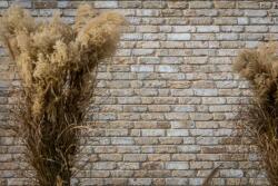 Engels Caramida plina Toscane Antiek DF 215x100x65 mm (ENG-16259479)