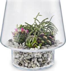 Eva Solo Ghiveci pentru plante suculente Eva Solo 21 cm din sticlă (568188)