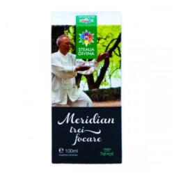 Steaua Divina Tinctura Meridian trei focare, 100 ml, Steaua Divina