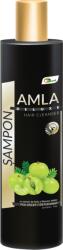 Star International Med Ayurmed Amla Sampon Deluxe, 250 ml