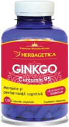Herbagetica Gingko Curcumin95, 120 capsule, Herbagetica