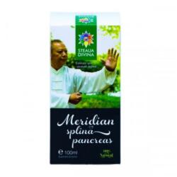 Steaua Divina Meridian Splina Pancreas tinctura, 100 ml, Steaua Divina