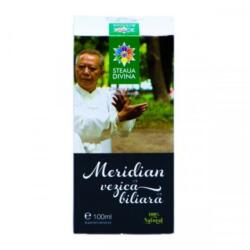 Steaua Divina Tinctura Meridian energetic Vezica Biliara, 100ml, Steaua Divina