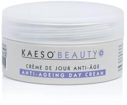 Kaeso Bőrmegújító nappali arckrém 95ml
