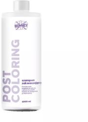 RONNEY Sampon Post Color - Színlezáró 1000ml