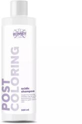 RONNEY Sampon Post Color - Színlezáró 300ml