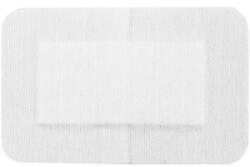 Prima Plasturi Sterili PPSB, 10 cm x 25 cm, Ambalati Individual, Prima, 20 Bucati (VTR-0938-10x25-NB)