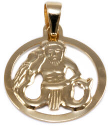 Ékszershop Vízöntő kerek arany medál (1331965)