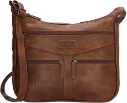 Beagles Murcia 20344 Brown