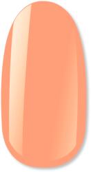 NiiZA Gel Polish 4ml - 484