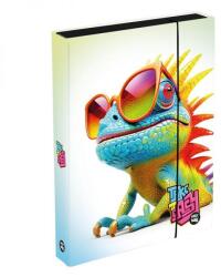 KARTON P+P Kaméleonos füzetbox - A4 - OXY BAG (IMO-KPP-1-46725)