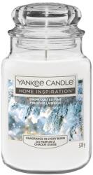 Yankee Candle Yc. Hi Nagy Üveg/Snow Dusted Pine