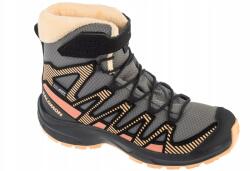 Salomon Xa Pro 3D V8 Winter Cswp J L47780000 (L47780000)