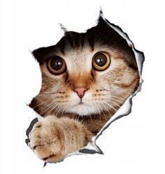  Autós Matrica Cica 21X29 CM 3D Sztereó Anime Vicces