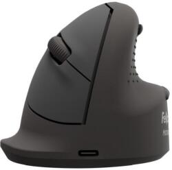 Fellowes Breyta Small 100143580 Mouse
