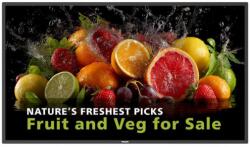 Philips BDL5050D/0075