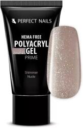 Perfect Nails Hema Free Tubusos Polygel - Shimmer Nude 30g