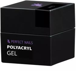 Perfect Nails Perfect PolyAcryl Gel - Polygel Clear 50g