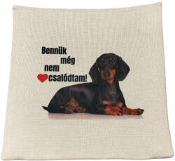  Bennük még nem csalódtam-vászon párnahuzat