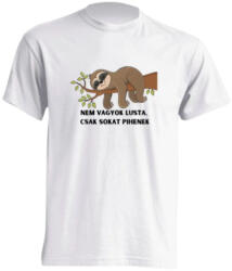 Kariban Nem vagyok lusta csak sokat pihenek