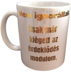  Nem ignorállak. . . . -fehér bögre
