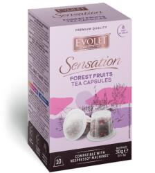 Evolet Forest Fruits capsule ceai compatibile Nespresso 10 buc