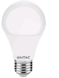 Entac E27 12W 1250lm 3000K Globe LED-izzó (LLG27-12W-WW)