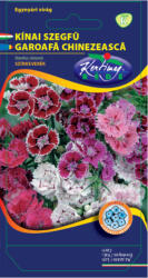 Rédei Kertimag Zrt Kerti szegfű (Dianthus Caryophyllus Grenadin) színkeverék (0, 5 g)