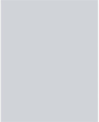  Dekorkarton, 2 oldalas, 50x70cm, 220 g, 10 lap, FOLIA, halványszürke (61221080) - mystock