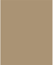  Dekorkarton, 2 oldalas, 50x70cm, 220 g, 10 lap, FOLIA, őzbarna (61221075) - mystock