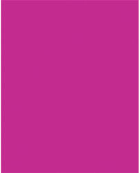  Dekorkarton, 2 oldalas, 50x70cm, 220 g, 10 lap, FOLIA, rózsaszín (61221023)