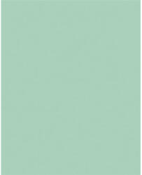  Dekorkarton, 2 oldalas, 50x70cm, 220 g, 10 lap, FOLIA, menta (61221025) - mystock