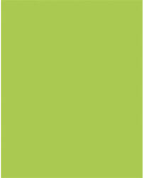  Dekorkarton, 2 oldalas, 50x70cm, 220 g, 10 lap, FOLIA, tavaszzöld (61221050)