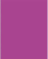  Dekorkarton, 2 oldalas, 50x70cm, 220 g, 10 lap, FOLIA, sötét rózsaszín (61221021)