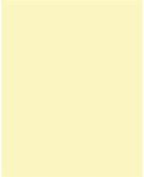  Dekorkarton, 2 oldalas, 50x70cm, 220 g, 10 lap, FOLIA, szalmasárga (61221011) - mystock
