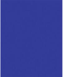  Dekorkarton, 2 oldalas, 50x70cm, 220 g, 10 lap, FOLIA, ultramarinkék (61221036) - mystock